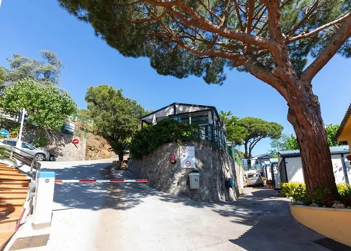 캠프장 El Far 칼레라